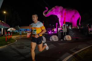 BIB: 
                            <button type="button" onclick="openModal(26552124)" class="btn btn-primary btn-sm float-right btn-popup" data-toggle="modal" data-target=".modal-high-quality">
                        <i class="fas fa-shopping-cart"></i> Add to Cart
                    </button>
                                            <button type="button" onclick="isThisMe(26552124, true)" class="btn btn-success btn-sm float-right btn-popup btn-isme hidden" data-toggle="tooltip" data-placement="bottom" title="นี่คือรูปของคุณใช่ไหม คลิกที่นี่เพื่อเอาเข้าอัลบั้ม">
                        <i class="fas fa-plus"></i> Add to album
                    </button>
                    <button type="button" onclick="isThisMe(26552124, false)" class="btn btn-warning btn-sm float-right btn-popup btn-isnotme hidden">
                        <i class="fas fa-ban"></i> Remove from album
                    </button>